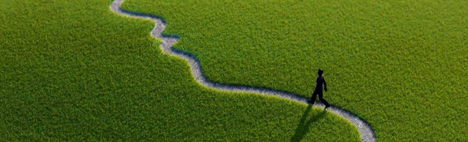 Walking down a path