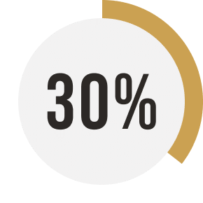 pie chart indicating 30 percent